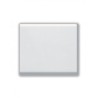 BOUTON POUSSOIR TOUCHE LARGE 16A BLANC|sfh|ca953640cba8|
