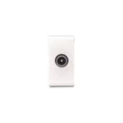 Prise TV CLARA 43|sfh|7548715a7af4|