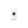 Prise TV CLARA 43|sfh|7548715a7af4|