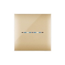 PLAQUE YOUNG TOUCH 44 CARRÉE DORÉ 2 MODULES|sfh|ac928a0e6d35|