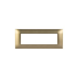 PLAQUE YOUNG 44 RECTANGULAIRE DORÉ MAT 7 MODULES|sfh|c651cbb3c9b0|