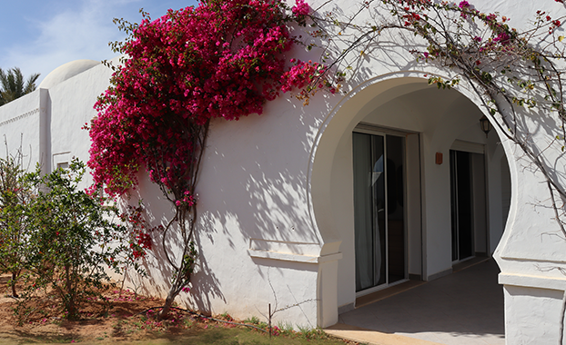 Villa Djerba Paradise — photo 2